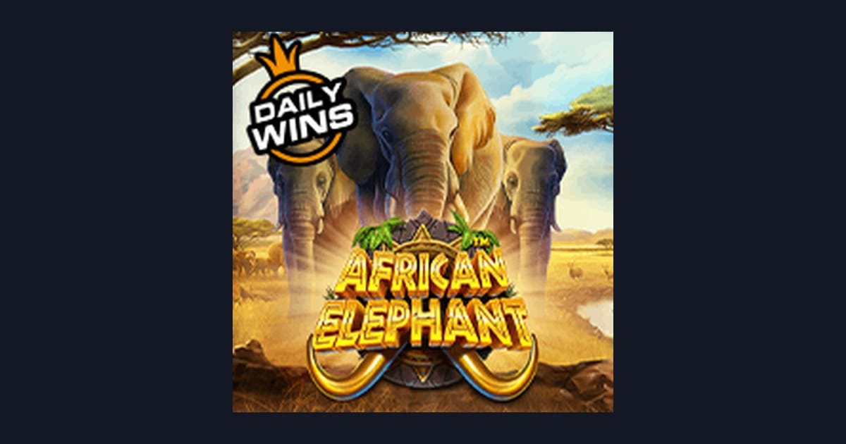 Tips Menang Buat Pemula di Slot African Elephant dari Pragmatic Play